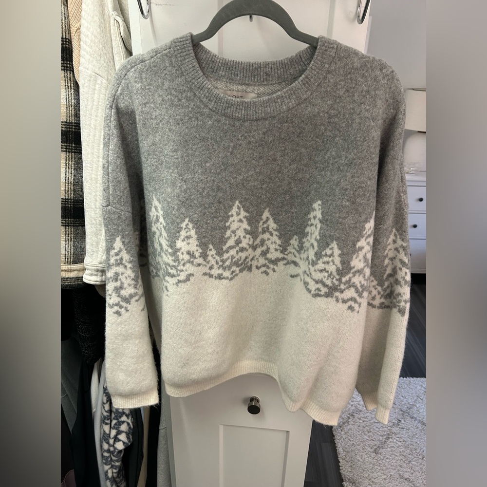 Loft Winter Crew Sweater